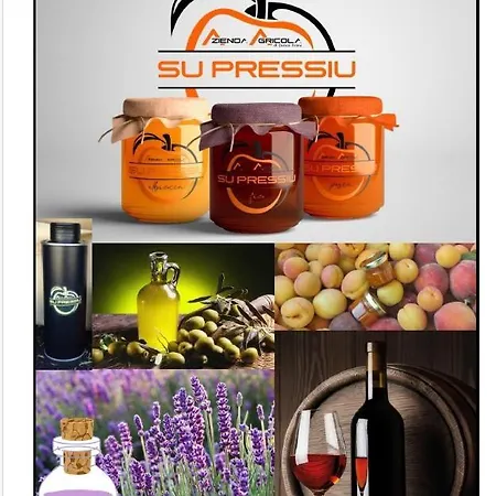 Bed & Breakfast Su Pressiu