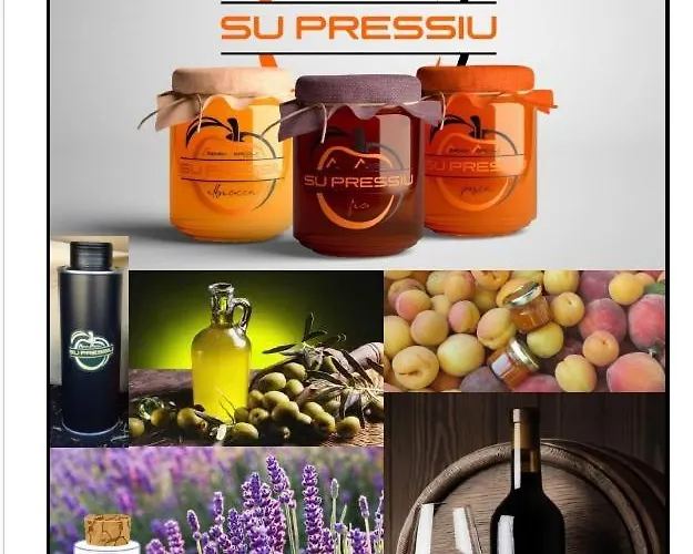 Bed and breakfast Su Pressiu